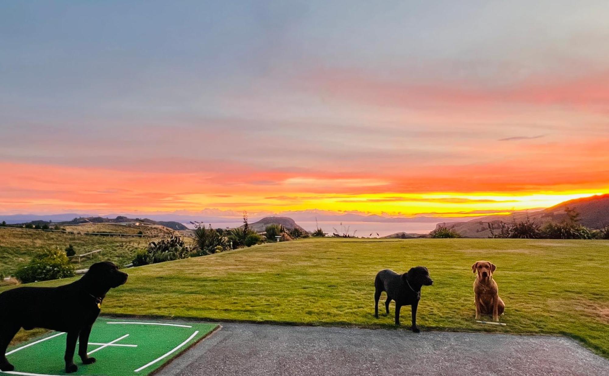 Hilltop Whakaipo Estate Taupo Exterior foto