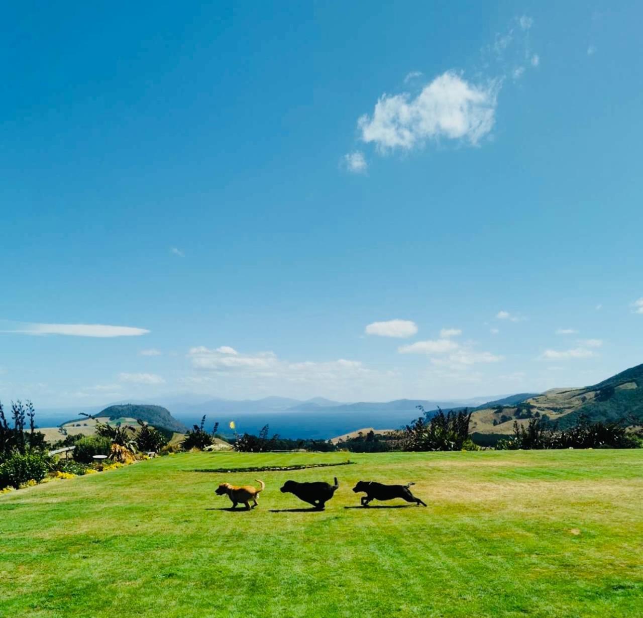 Hilltop Whakaipo Estate Taupo Exterior foto