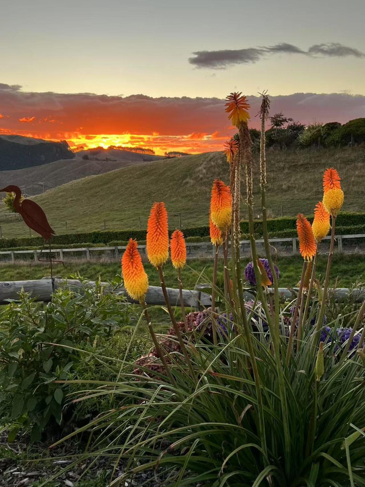 Hilltop Whakaipo Estate Taupo Exterior foto